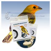 Bird Whistle - Saffron Finch