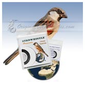 Bird Whistle - House Sparrow