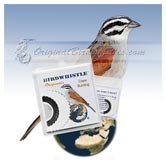 Bird Whistle - Cape Bunting