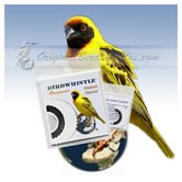 Bird Whistle - Masked Weaver