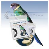 Bird Whistle - Australian Ringneck
