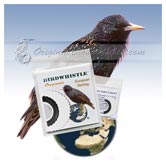 Bird Whistle - European Starling